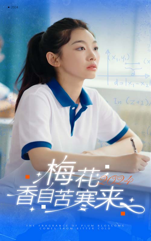 梅花香自苦寒来海报图