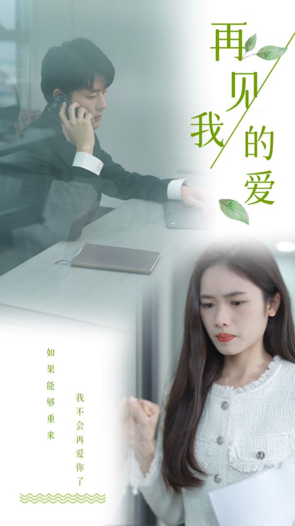 再见，我的爱海报图