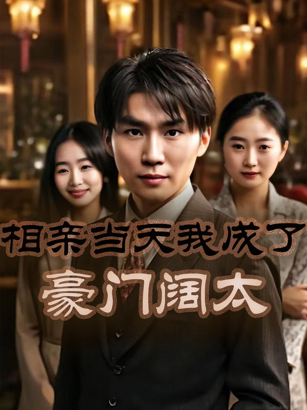 相亲当天我成了豪门阔太海报图