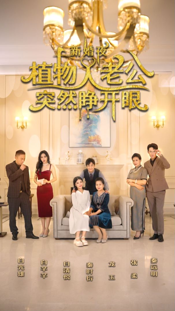 新婚夜植物人老公突然睁开眼海报图