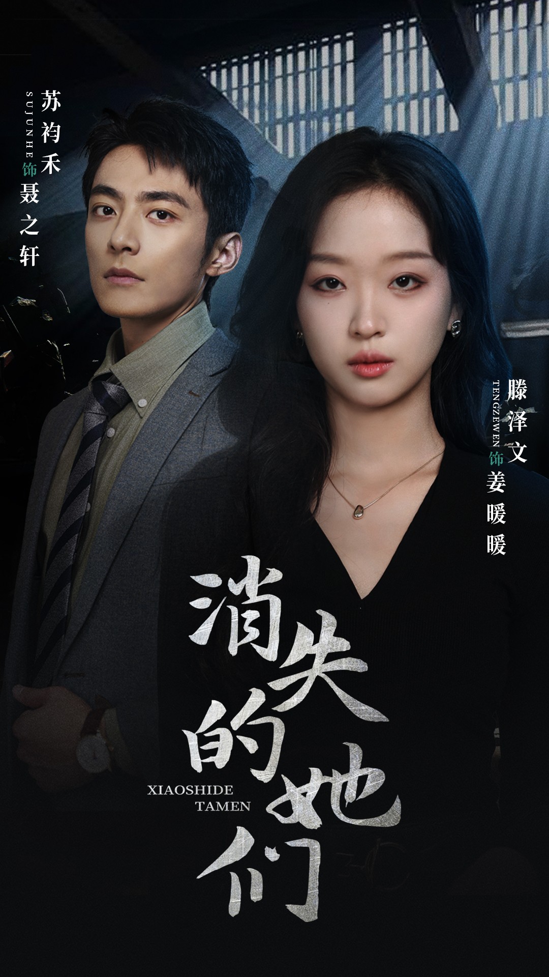 消失的她们海报图