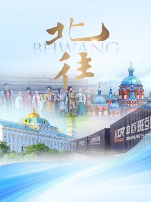 北往封面图