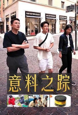 意料之踪封面图