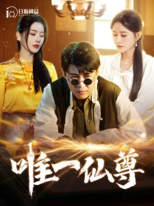 唯一仙尊海报图