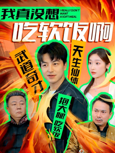 我真没想吃软饭啊海报图
