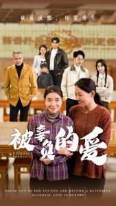 被辜负的爱海报图