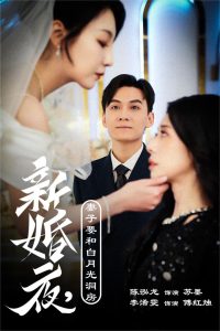 新婚夜，妻子要和白月光洞房海报图