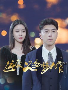 逆袭之逐梦九霄海报图