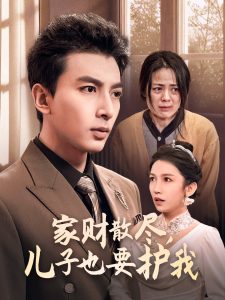家财散尽儿子也要护我海报图