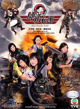 师奶兵团粤语封面图