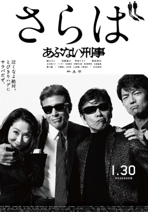 玩命警探7封面图