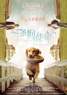 一条狗的使命（原声版）封面图
