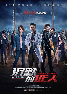 沉默的证人（国语版）封面图