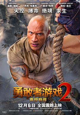勇敢者游戏2：再战巅峰（国语版）封面图