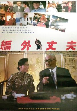 编外丈夫封面图
