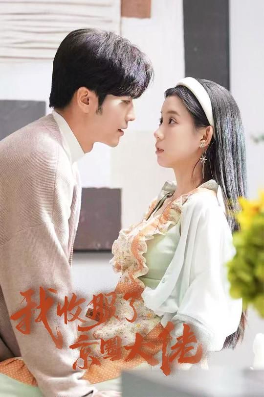 我收服了京圈大佬（闪婚甜妻买一送一）海报图