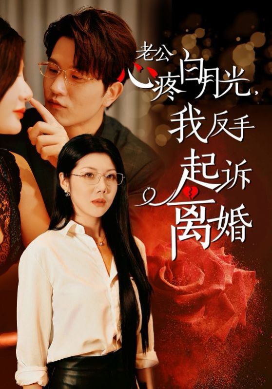 老公疼白月光我反手起诉离婚海报图