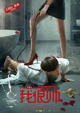 我很帅封面图