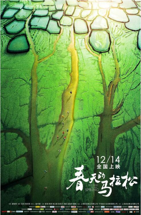 春天的马拉松封面图