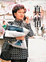 真情封面图