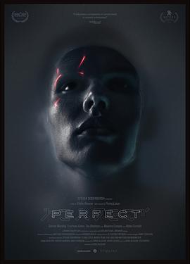 完美Perfect封面图