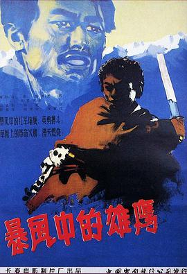 暴风中的雄鹰封面图