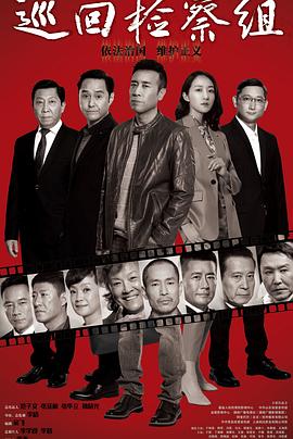 巡回检察组（DVD版）封面图
