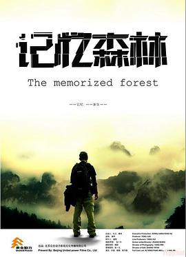 记忆森林封面图