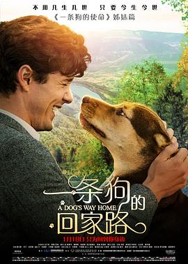 一条狗的回家路（国语版）封面图