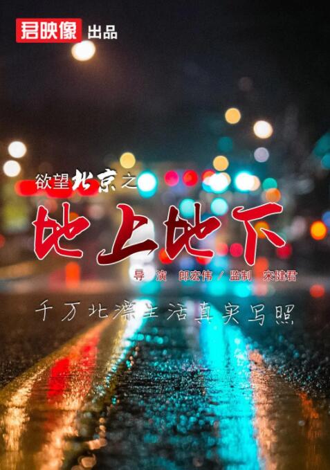 欲望北京之地上地下封面图