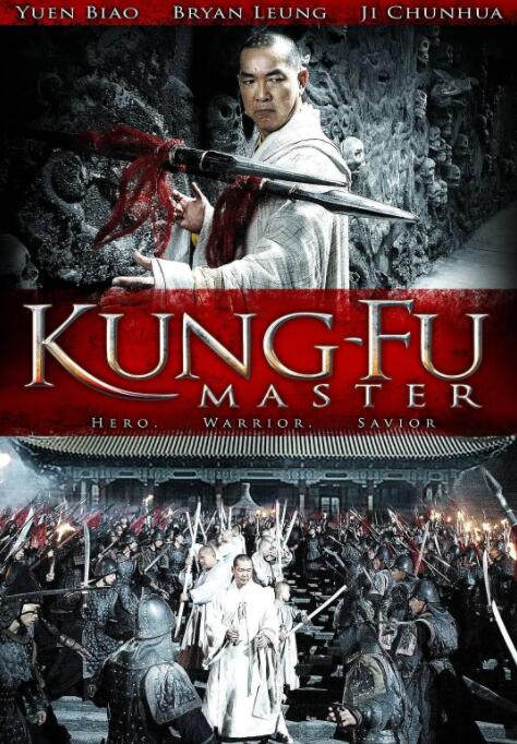 功夫大师2010封面图