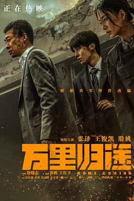 万里归途（预告片）封面图