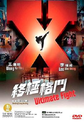 终极格斗（粤语版）封面图