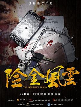 险金风云封面图