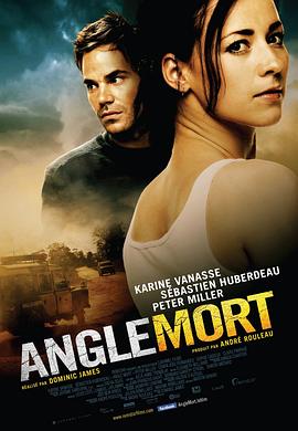 盲点 Angle mort封面图