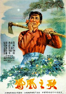 凤凰之歌封面图