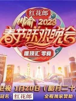 重庆卫视2023年春节联欢晚会海报图