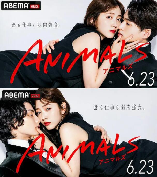 动物 ANIMALS封面图