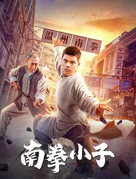 南拳小子封面图