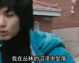 我的歌封面图