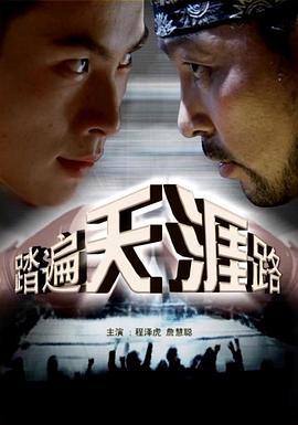 踏遍天涯路封面图