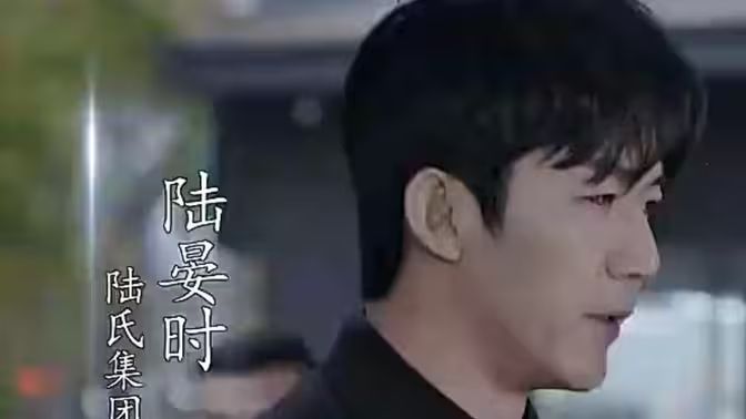 抢婚！陆总蓄谋已久海报图