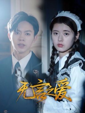 无言之爱海报图