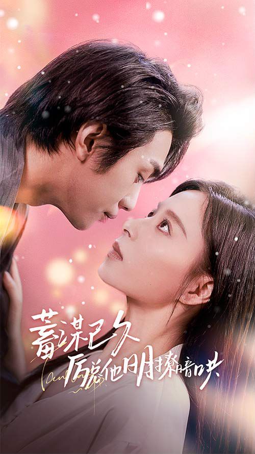 蓄谋已久历总他明撩暗哄（历总夫人她又跑了）海报图