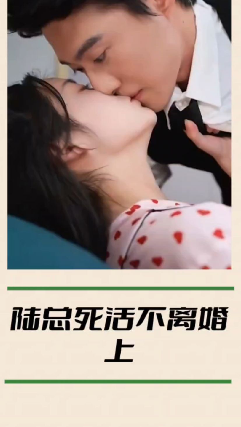 陆总死活不离婚海报图