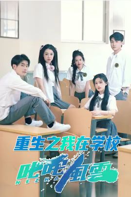 重生之我在学校叱咤风云海报图