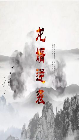 龙婿逆袭海报图