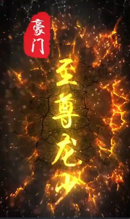 豪门至尊龙少海报图