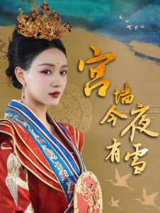 宫墙今夜有雪海报图