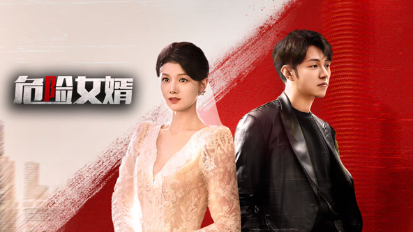 危险女婿海报图